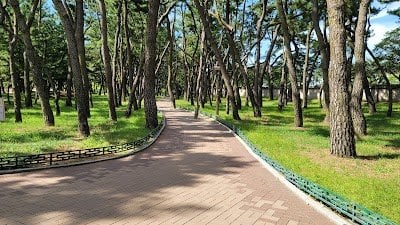 slide-31225