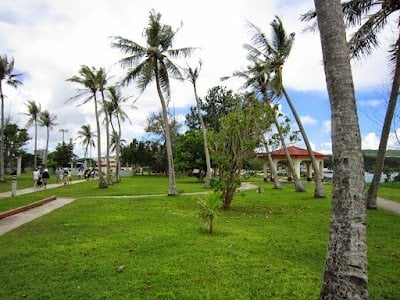 slide-12961